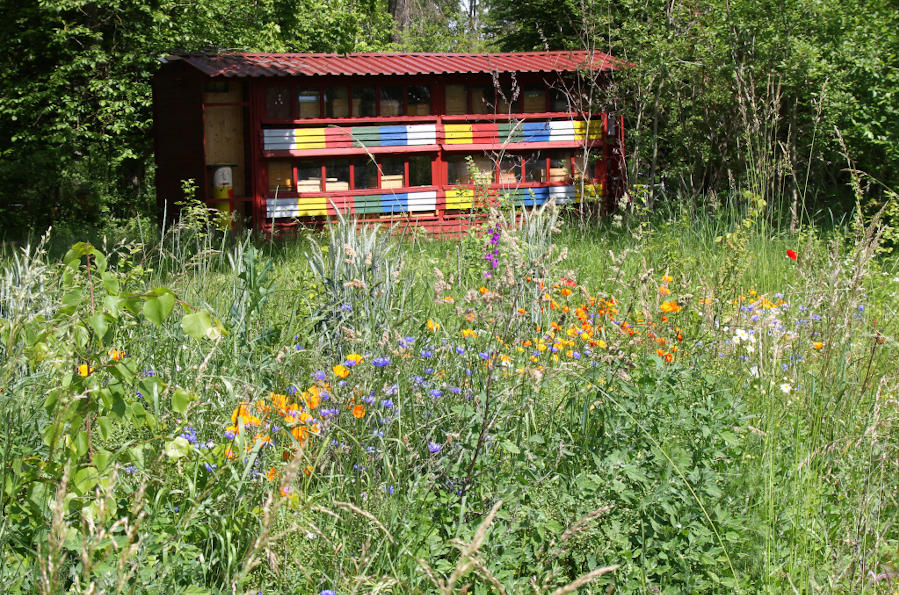 Das Zeidlerhaus, unser Treffpunkt und Wirkungsstätte. Foto: Klaus Becker