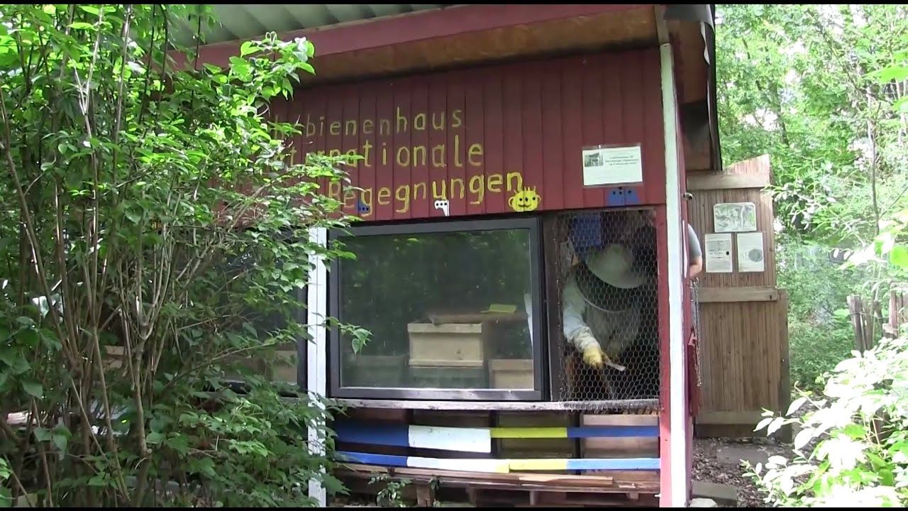 youtube placeholder image